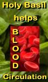 Ormus Minerals - Holy Basil HELPS Blood Circulation